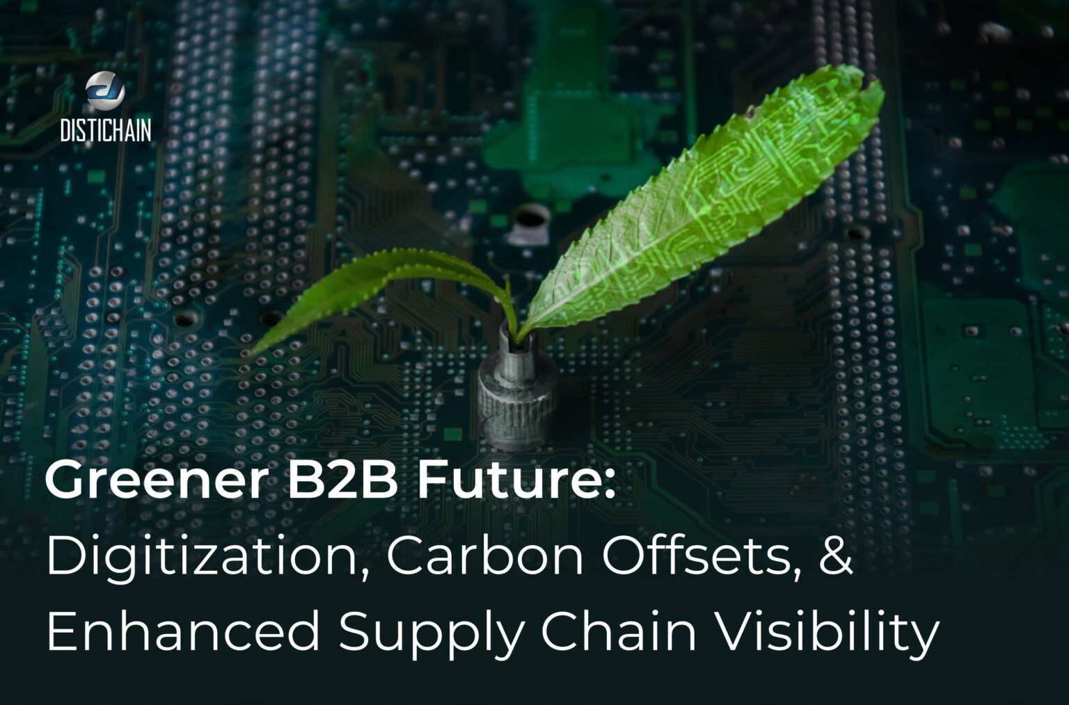 Carbon Offsets & Other Sustainable Strategies | Distichain