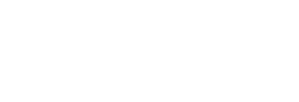 google logo white