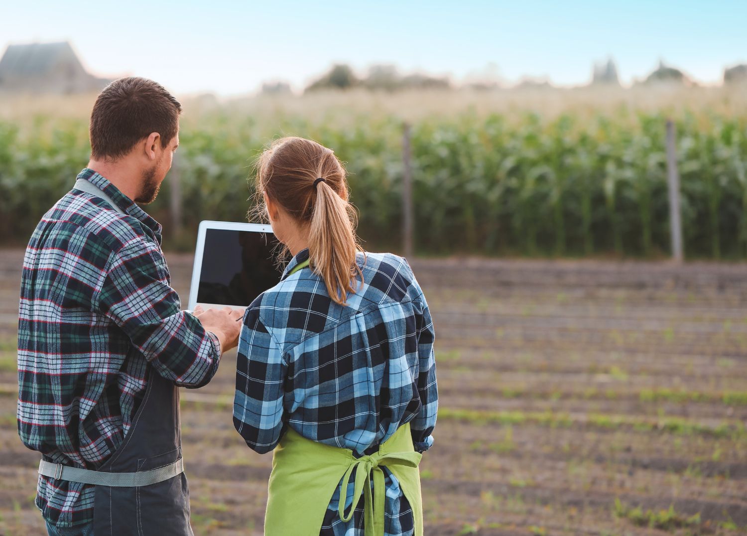 2 farmers trading on an agriculture b2b platform