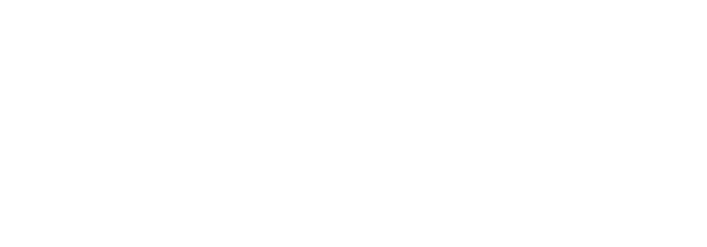 logiseye logo white