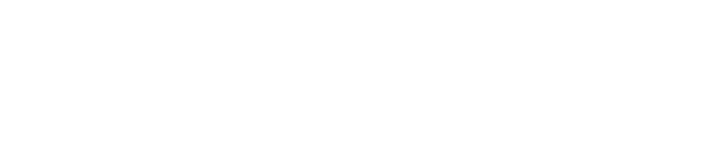 secdex logo white