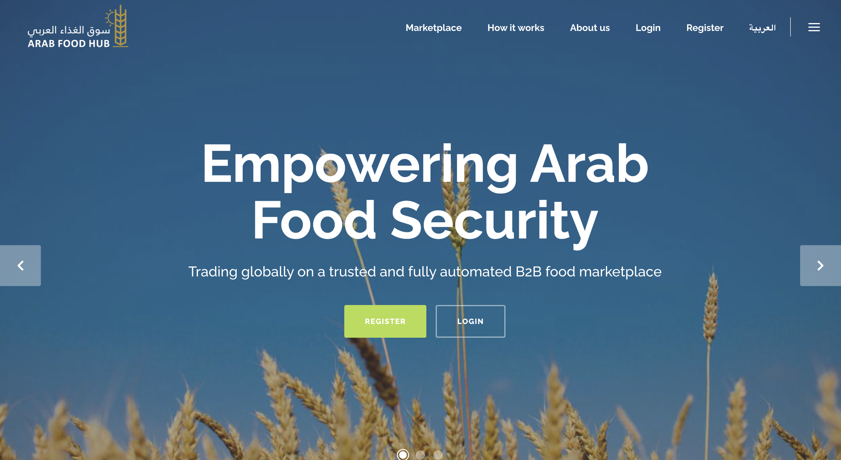 arab food hub website screenshot