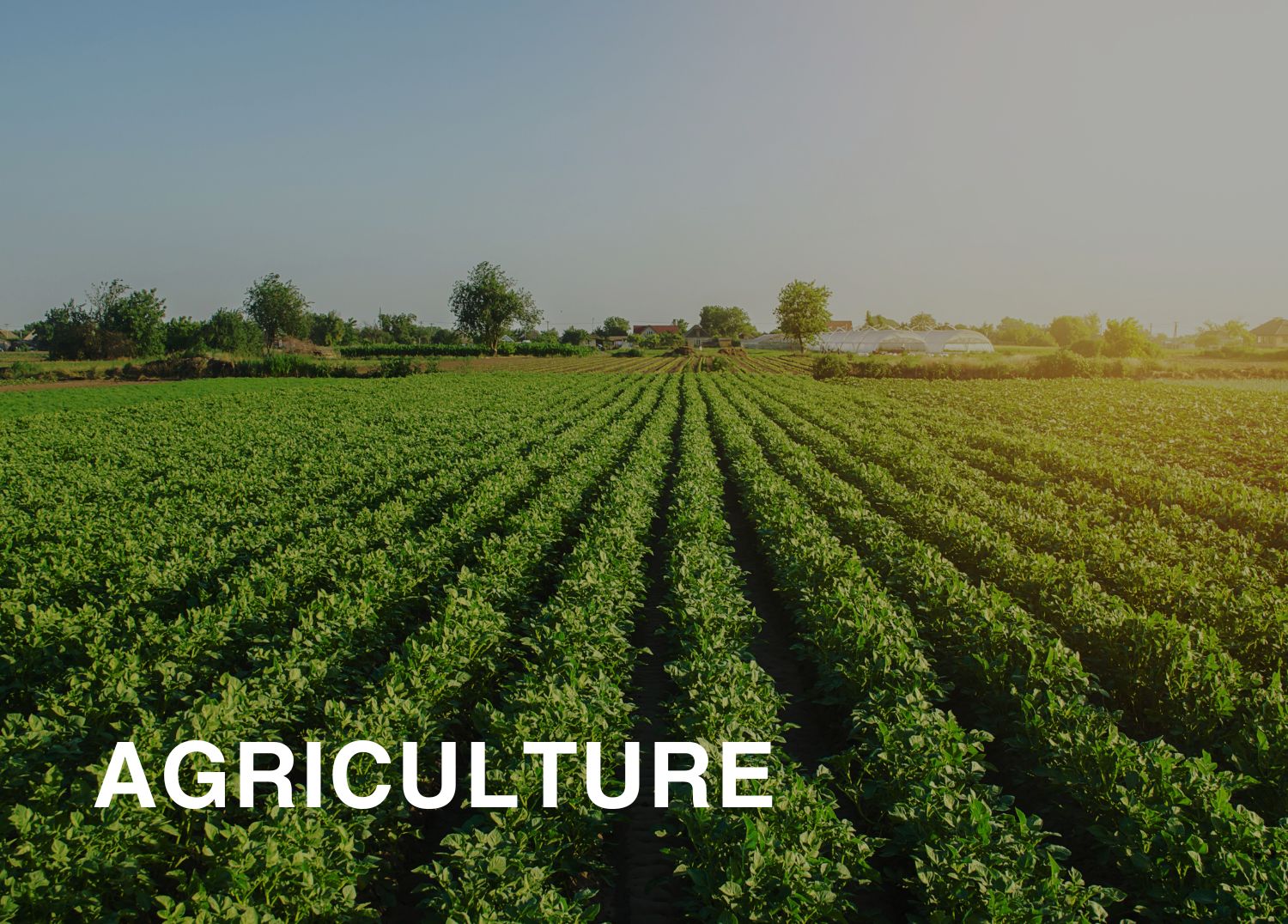 agriculture industry